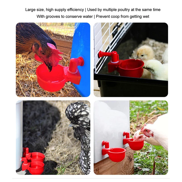 HD 4 Set Auto Poultry Fount Plastic Waterer Bowl W/Hose Attachment For Game Bird