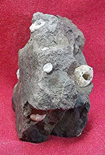 Pacific Nw Ancient Anthropomorphic Stone Art/Effigy/Fetish/Sculpture/Paraeidolia