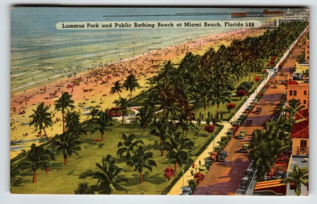 Miami Beach Florida Postcard  Lummus Park Beach Linen Palm Trees Old Cars 1951