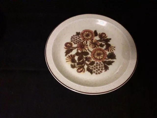 Poole Thistlewood  Dinner Plates 25cm