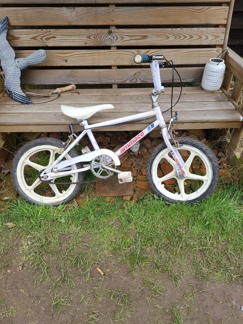 Ammaco blast 2025 bike