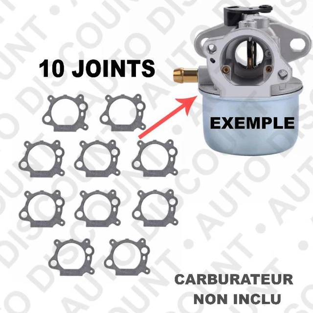 15 Joints Carburateur Briggs & Stratton 795629 - TopHomer