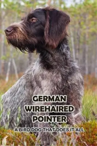 Osigbeme Sean German Wirehaired Pointer (Paperback)