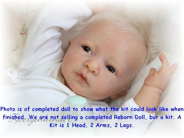 REBORN DOLL KIT, Daniel By Linde Scherer, Vinyl Doll Kit, New