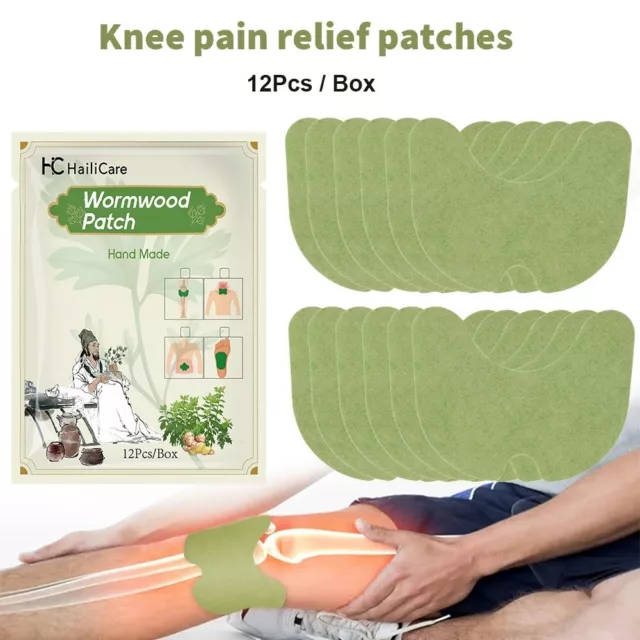 120x Wellnee Knee Pain Relief Patches Wormwood Sticker/Neck/Waist Joint Ache Pad