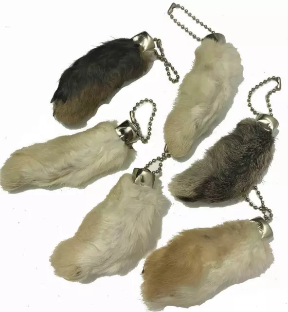 6 REAL NATURAL RABBIT FEET KEY CHAINS bunny fur  foot lucky rabbits luck charms