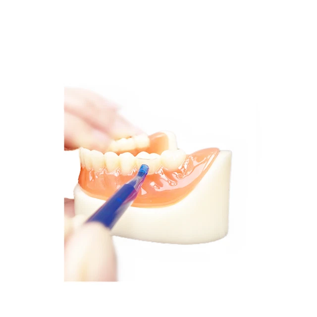 Dental cervical matrice gingival retractor matrix matrices mandibular