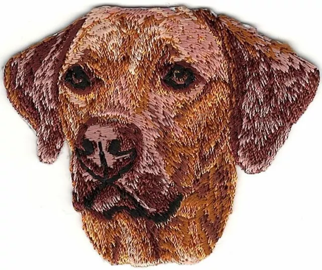 2"x2 1/2" Rhodesian Ridgeback Head Portrait Dog Breed Embroidery Patch