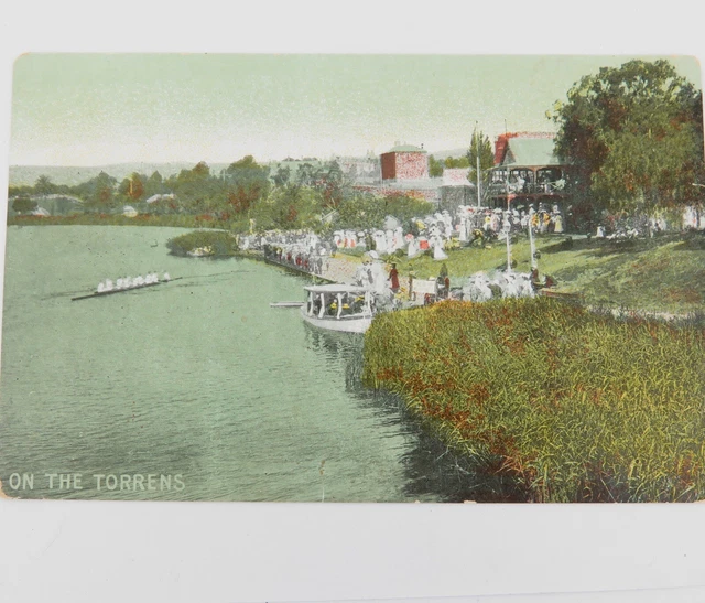 .1910 South Australian On The Torrens Rowing Regatta Postcard.