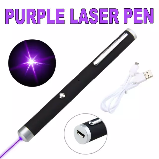 USB Rechargeable Purple Laser Pointer Pen Beam Light Laser Built-in Battery