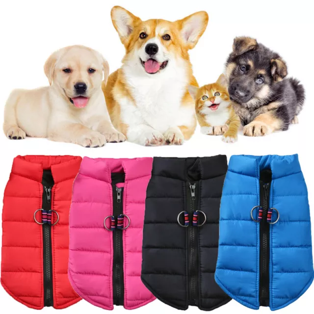 Animali Cane Cappotto Gatto Giacca Imbottito Vestiti Cucciolo Gilet Cotone Abiti