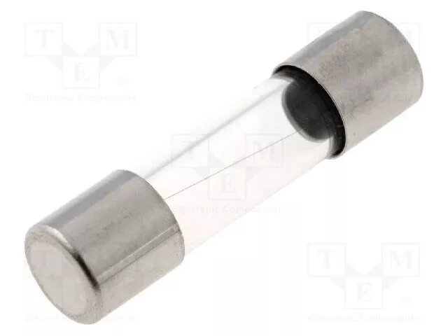 Sécurité : Schmelz 250VAC 5A Fusible Cylindrique, FST 0034.3124 Assurance 5x20
