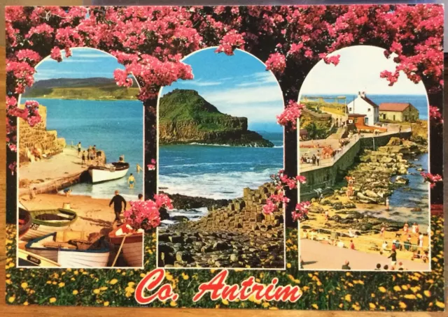 Irish Postcard County ANTRIM Coast Multiview Flowers Northern Ireland Bamforth