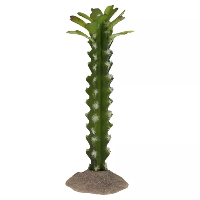 Terra Della Decoración Cactus Del Con Flores Säulenförmig Verde, de Nuevo