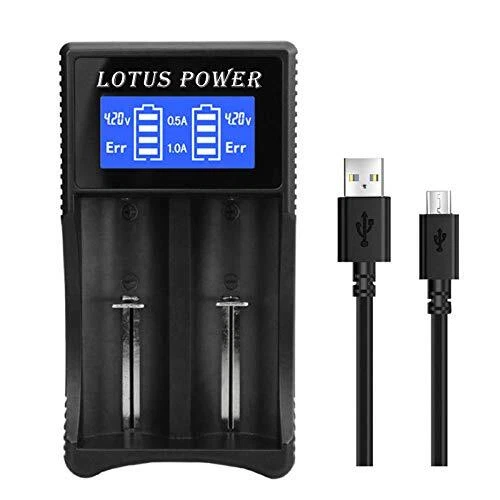 Chargeur de Batterie 18650, Chargeur Intelligent à Deux Emplacements pour Batter
