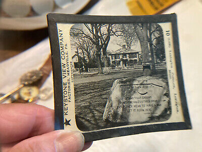 LEXINGTON COMMON-vintage glass plate negative
