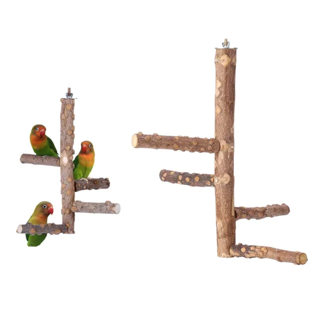 Natürliche Holz Vogel Barsch   Stehen Holz Sitzstangen Pfote Schleifen