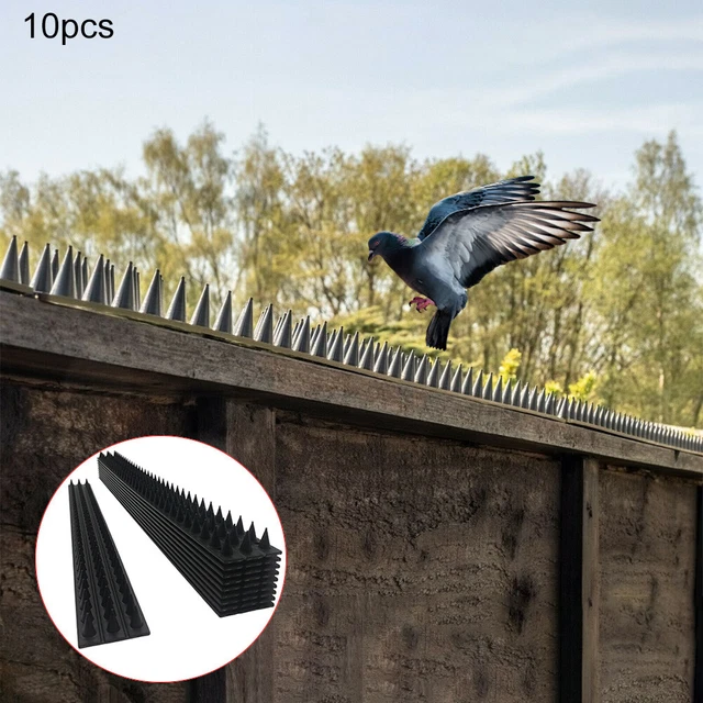 10 piezas Picos de pared de cerca negra repelente de intruso seguridad jardín antiespina de pájaro