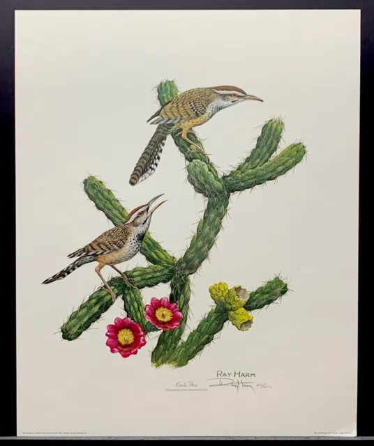 Ray Harm Limited Edition Signed Print “Cactus Wren”