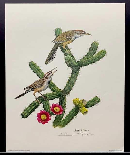 Ray Harm Limited Edition Signed Print “Cactus Wren” Ray Harm Limited Edition Signed Print “Cactus Wren”