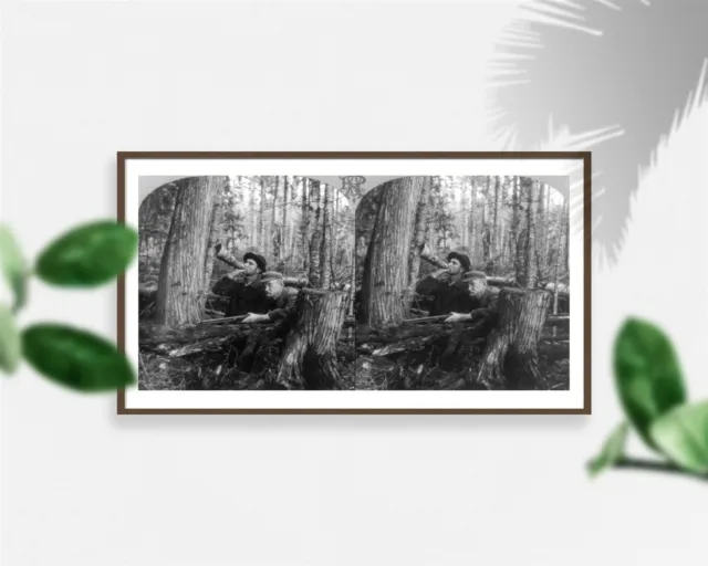 Photo: Photo of Stereograph,The call of the wild,Moose Hunting,Man blowing moose