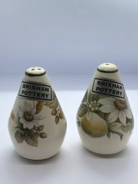 Vintage Brixham Pottery Salt And Pepper Pots/Shakers, Creut Set