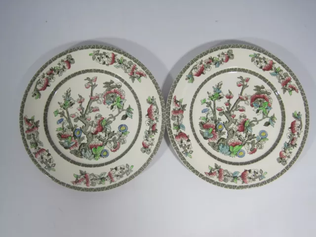 Indian Tree Johnson Bros. England Pair of Dinner Plates 25.5cm/10"