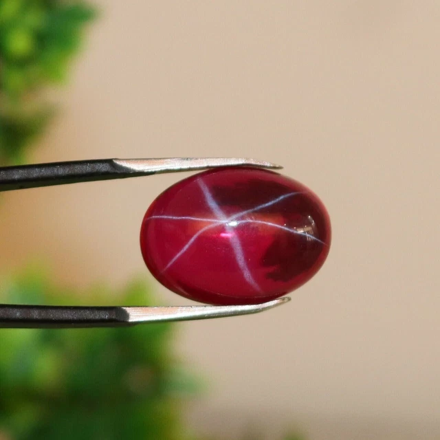 RUBY STAR 7.75Cts Six Rays Oval Cabochon 10x12x06mm ~Ring Size~ Loose Gemstone
