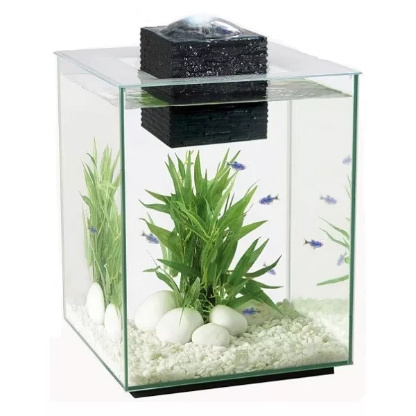 Fluval Chi Aquarium 19L with LED Light Lighting - Hagen Latest Version Fish Tank