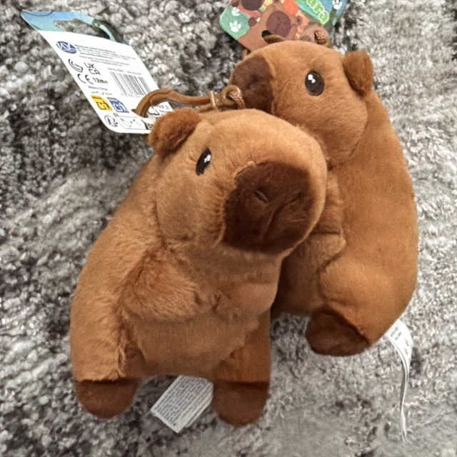 CUDDLY CAPYBARA PLUSHIE with Clip On Lovely Soft Cute Plushie Gift Xmas ...