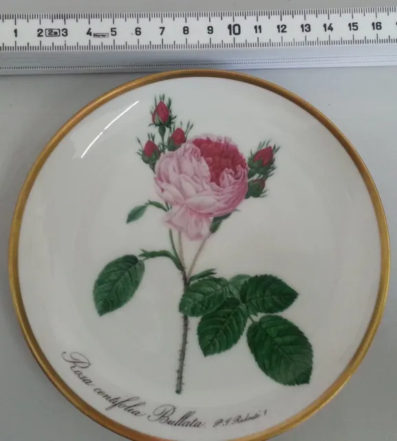 Teller Hutschenreuther Sammelteller P.J. Redoute Zierporzellan Rosa #1