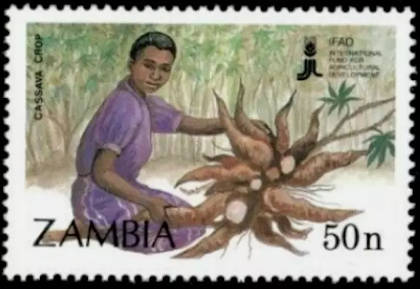 Zambia #SG542 MNH 1988 Cassava Crop [436]