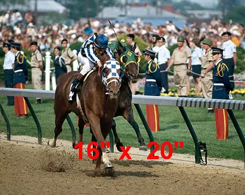 Secretariat~Triple Crown Winner~Horse Racing~Poster #2~Color~Photo~16" x 20"