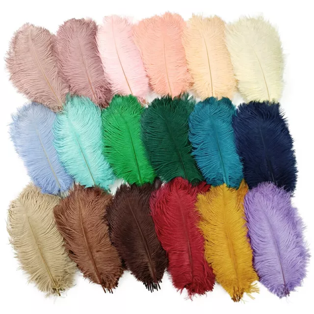 10Pcs Colored Ostrich Feathers Crafts Wedding Decoration Handicraft Plumas Decor