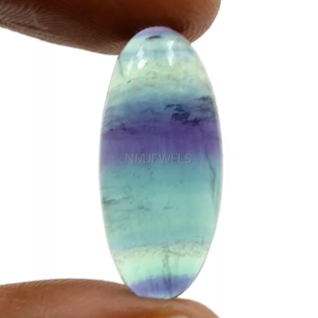Cts. 16.75 Natural Multi Fluorite Cabochon Oval Cab Exclusive Gemstone 26X12