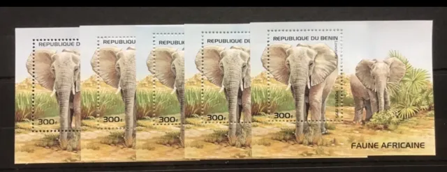 5x Benin  - Elephant / African Animals - Fauna - timbres - S/S  - MNH** F106