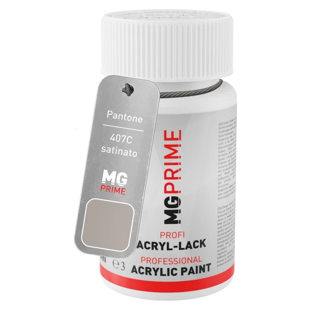 Pantone 407C Grey satinato Stilo di ritocco da 50 ml ad asciugatura rapida