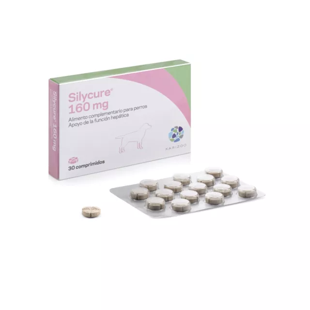 Silycure 160 mg 30 comprimidos