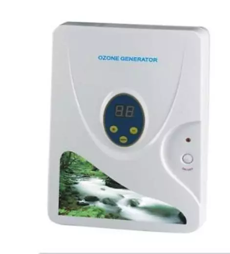 Generador de Ozono Dispositivo Ozonizador Desinfektiongerät Aire Agua Öl 600MG /