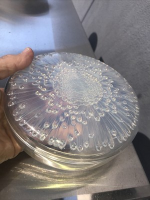 1860-1945 D : 26,5 cm plat opalescent modèle coquille Lalique 