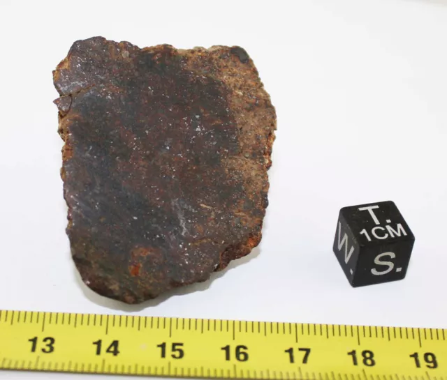 Talon Da Meteorite Nwa Non Classificati (46.75 Grs - 232)