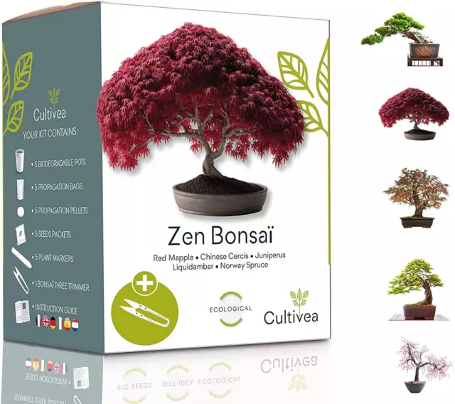 Mini - Bonsai Ready-To-Grow Kit - Semi Francesi 100% Ecologici - Giardino E Deco