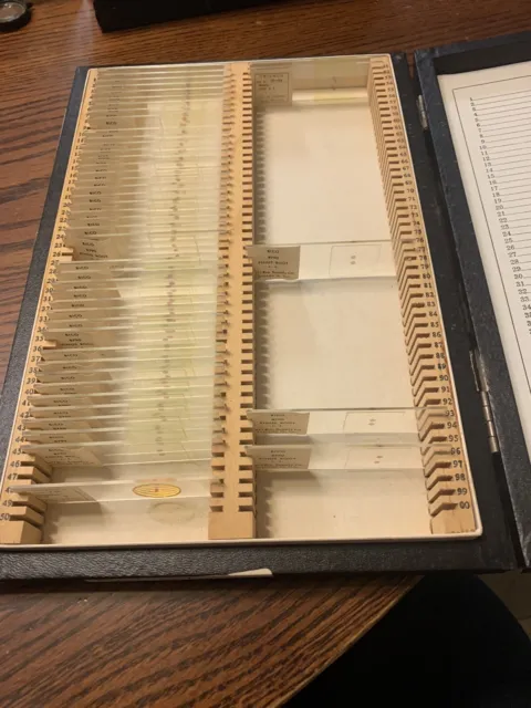 Vintage Group Of  47 Microscope Slides Specimens Biology Pinus Root
