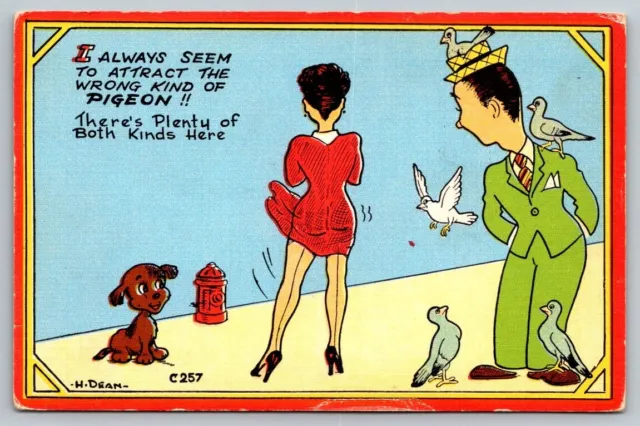 Vintage Cartoon Humor Linen Postcard - Attracting the Wrong Pigeon