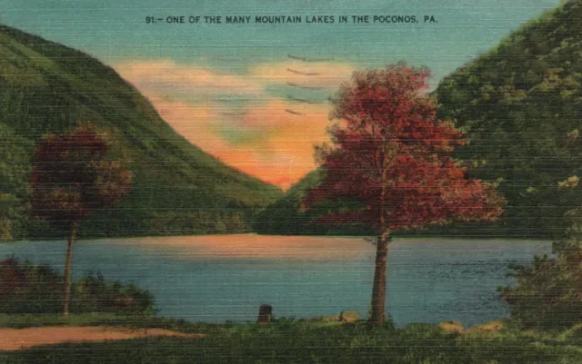 Postcard PA One of the Many Mountain Lakes in Poconos 1949 Vintage PC f8744