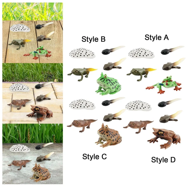 LIFE CYCLE FIGURINES Animals Cognitive Science Toy 4 Stages of Frog Frogs Life £6.94 PicClick UK