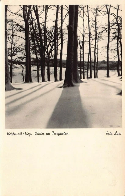 Winter in Tiergarten Berlin Germany Black and White Forest Vintage Postcard K06