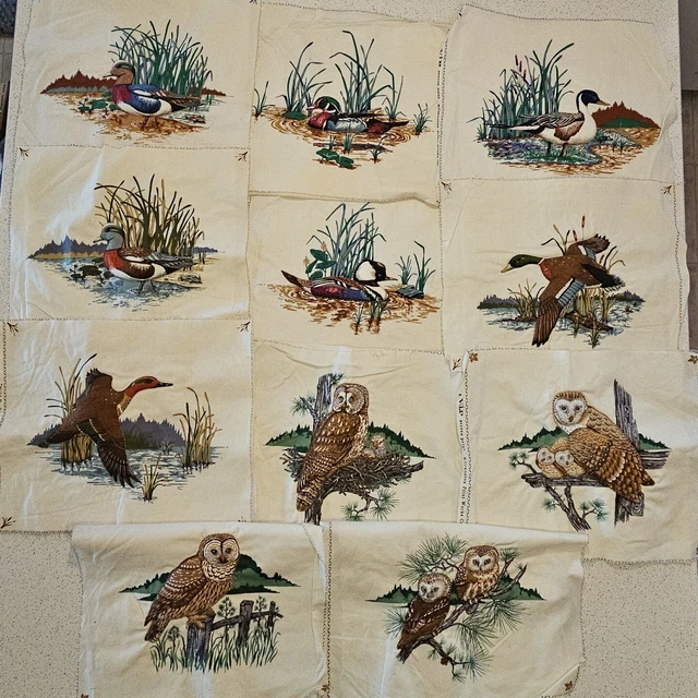 Cranston VIP Picture Book Patches Screen Print Wild Ducks Owl Quilted Unfinished