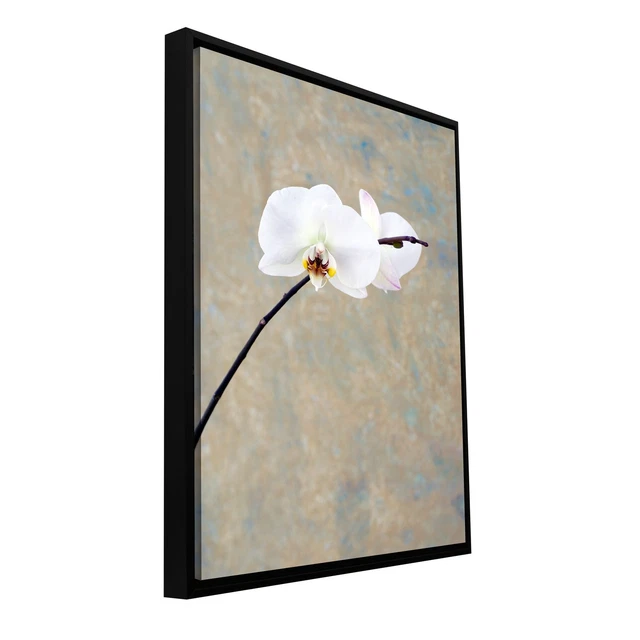Elena Ray 'Orchid Blossom' Floater-framed Gallery-wrapped  Small