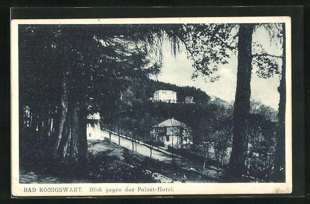 Ansichtskarte Bad Königswart, Blick gegen das Palast-Hotel 1926